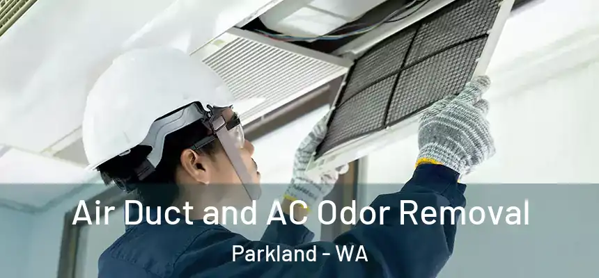 Air Duct and AC Odor Removal Parkland - WA