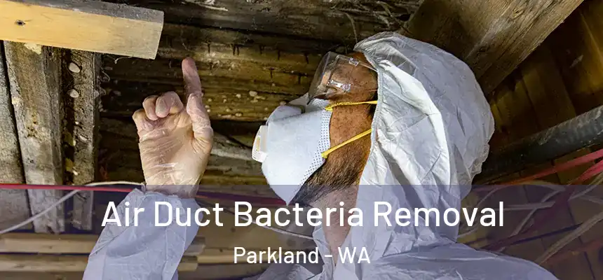  Air Duct Bacteria Removal Parkland - WA