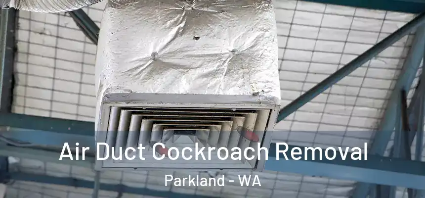 Air Duct Cockroach Removal Parkland - WA