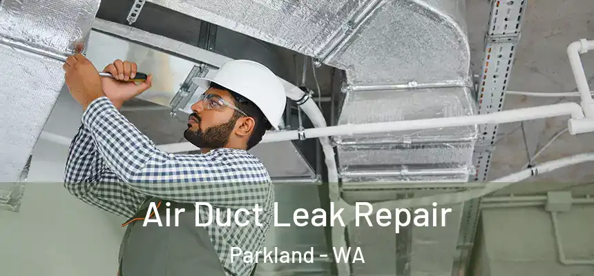  Air Duct Leak Repair Parkland - WA