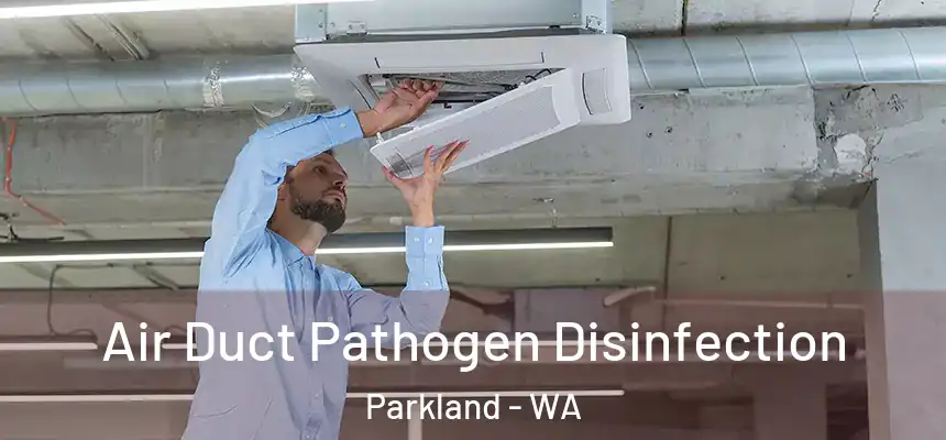 Air Duct Pathogen Disinfection Parkland - WA