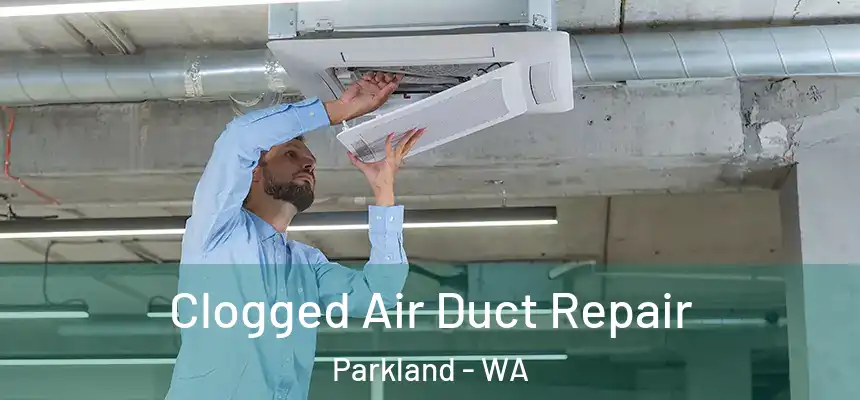 Clogged Air Duct Repair Parkland - WA
