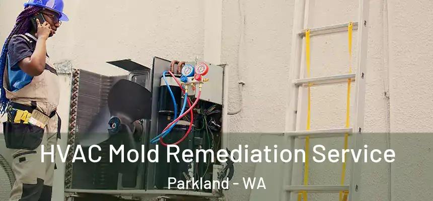 HVAC Mold Remediation Service Parkland - WA