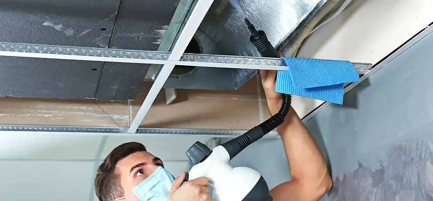 Our Air Duct Rodent Removal Services in Parkland, WA