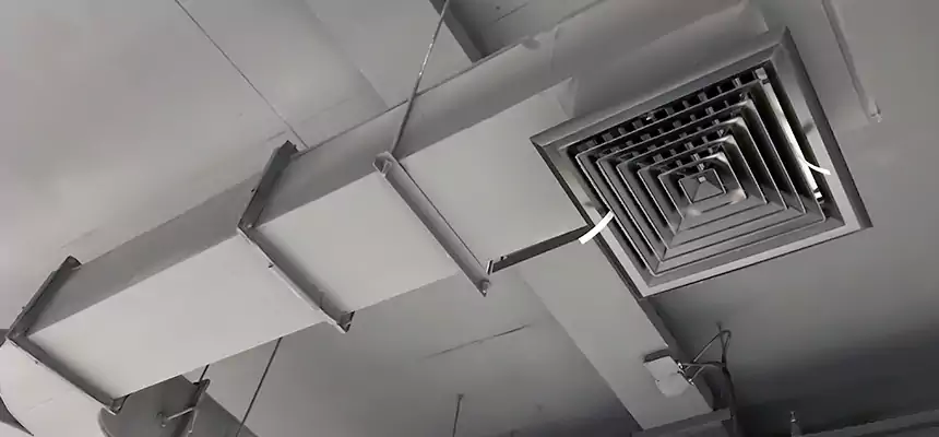 Restorative Allergy Relief Vent Cleaning – Coil, Blower & Housing Detail in Parkland