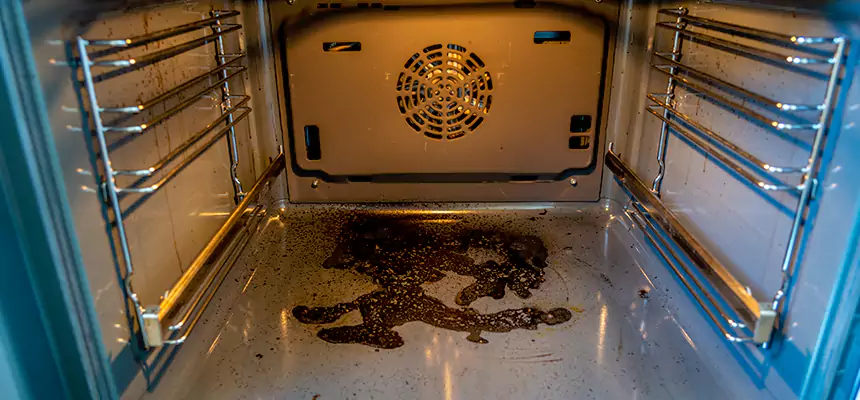 Our Dryer Vent Mold Cleaning Services in Parkland, WA