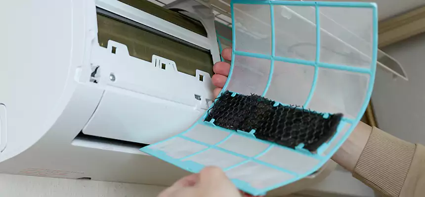 Gentle Ductwork Odor-Control Pet Dander Duct Cleaning in Parkland, WA