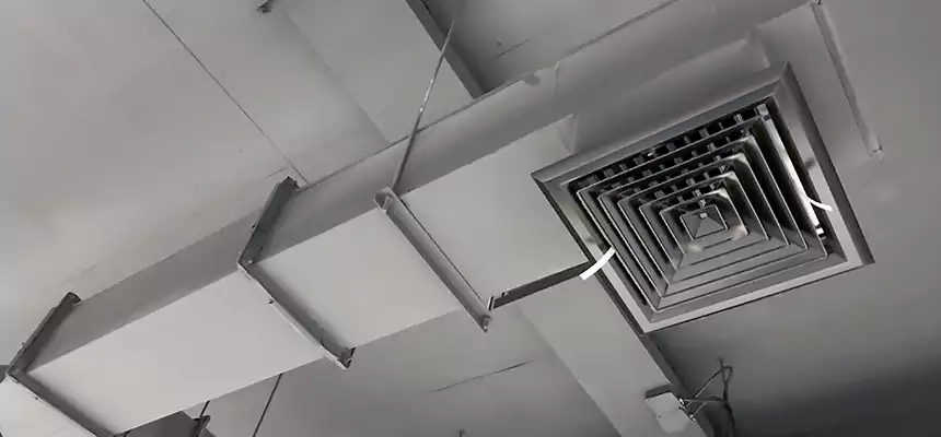 Our Rodent Droppings In Vents Services in Parkland, WA