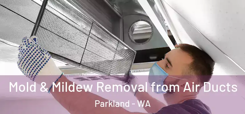 Mold & Mildew Removal from Air Ducts Parkland - WA