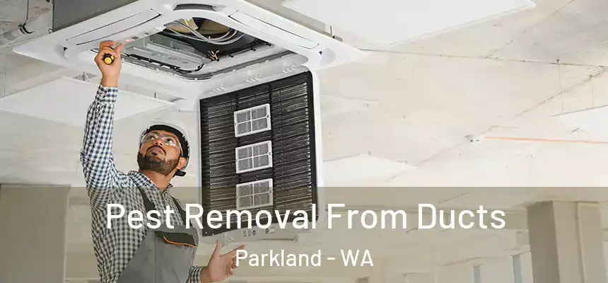 Pest Removal From Ducts Parkland - WA