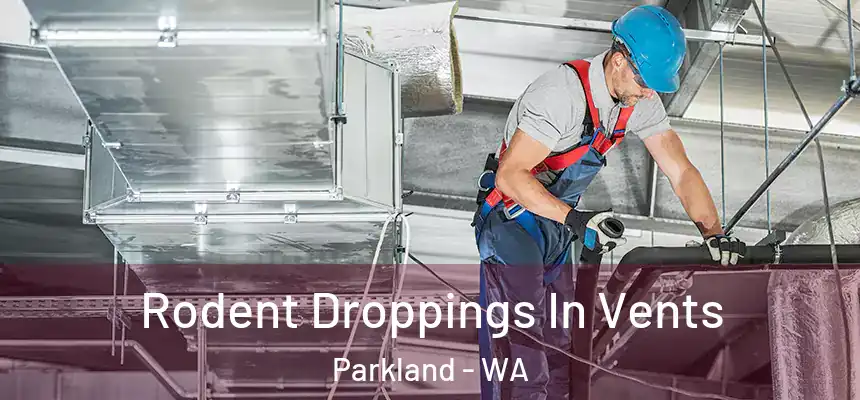 Rodent Droppings In Vents Parkland - WA