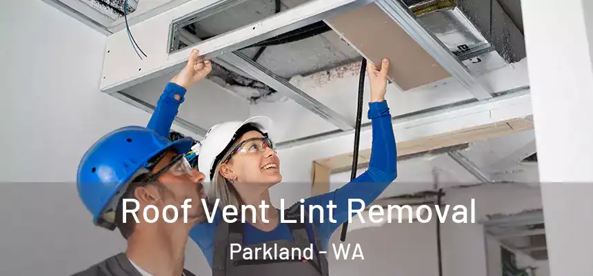 Roof Vent Lint Removal Parkland - WA
