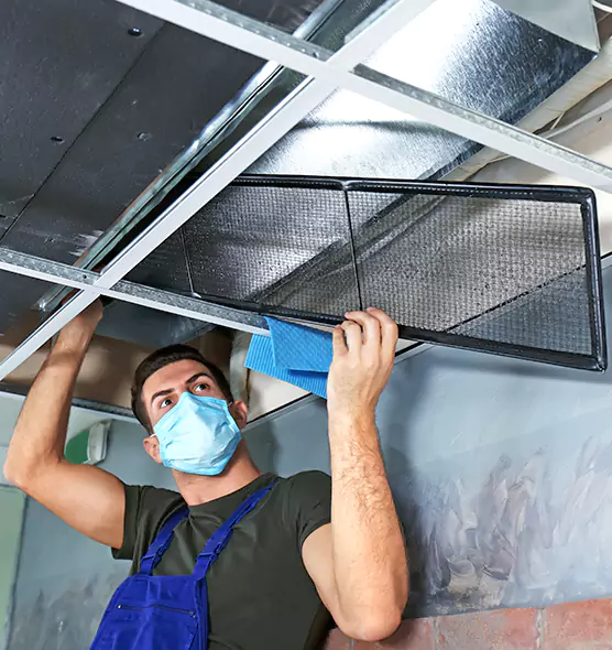 About Air Duct Bacteria Removal in Parkland