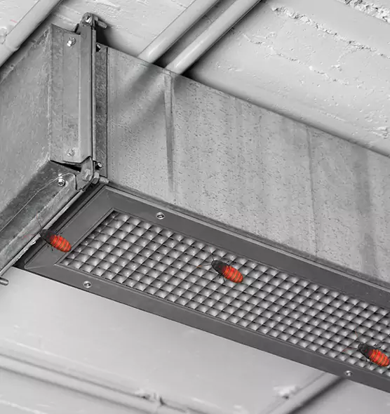 About Air Duct Cockroach Removal in Parkland, WA