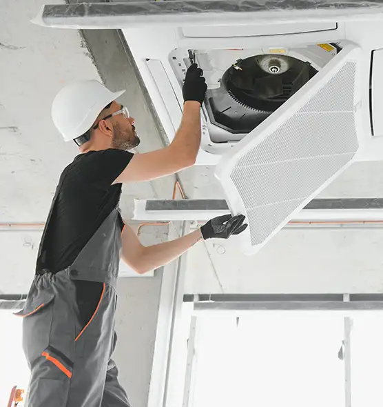 About Air Duct Rodent Removal in Parkland, WA