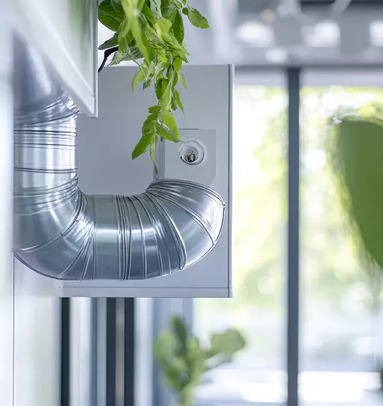 Professional Eco-Safe Dryer Vent Cleaning in Parkland, WA