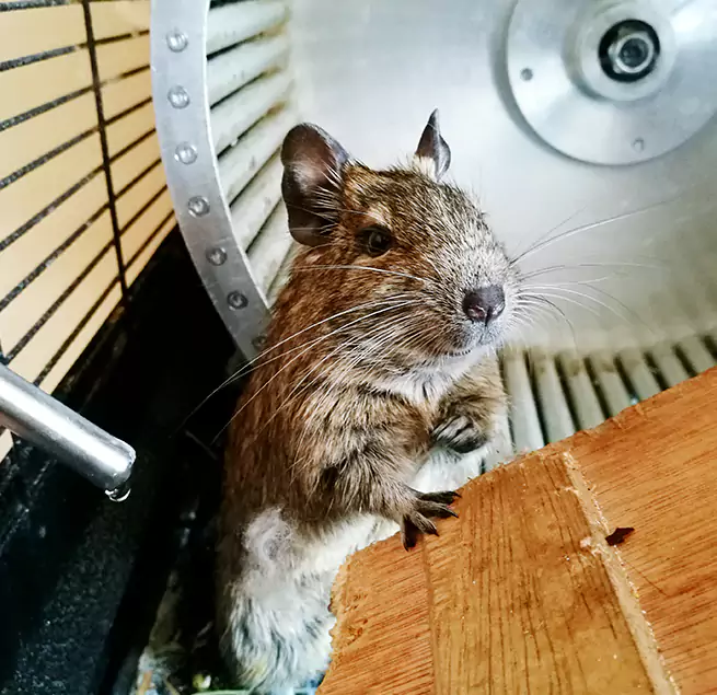 Why Homeowners & Businesses Trust Us Parkland, WA?