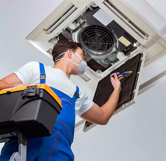 Why Homeowners & Businesses Trust Us in Parkland, WA