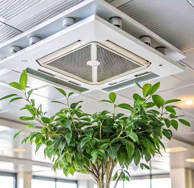 Why Homeowners & Businesses Trust Us in Parkland, WA?